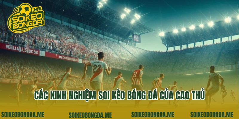 Trang chủ 8 Các kinh nghiệm soi kèo bóng đá của cao thủ