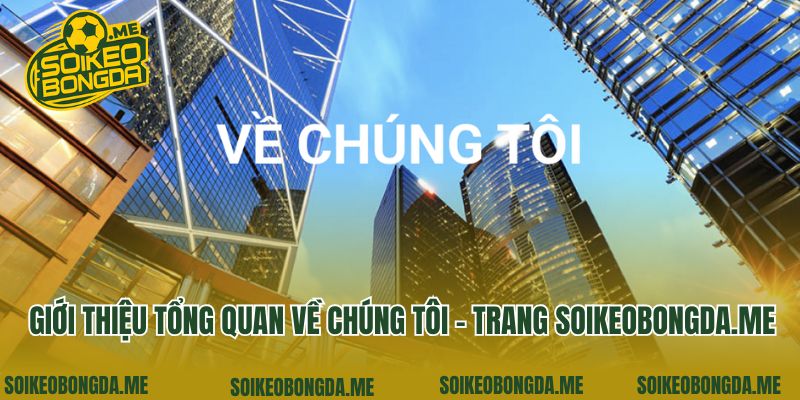 Về Chúng Tôi 1 Giới thiệu tổng quan về chúng tôi - trang soikeobongda.me