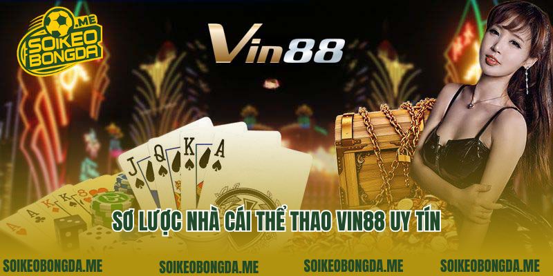 Vin88 - Địa Chỉ Cá Cược Thể Thao Chuyên Nghiệp Số 1 Châu Á 2 Sơ lược nhà cái thể thao Vin88 uy tín